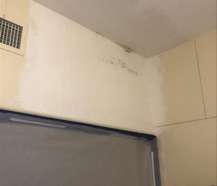 mold found in drywall
