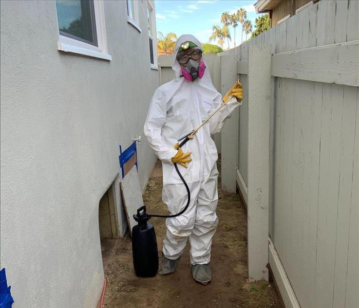 SERVPRO of San Diego East mold repair