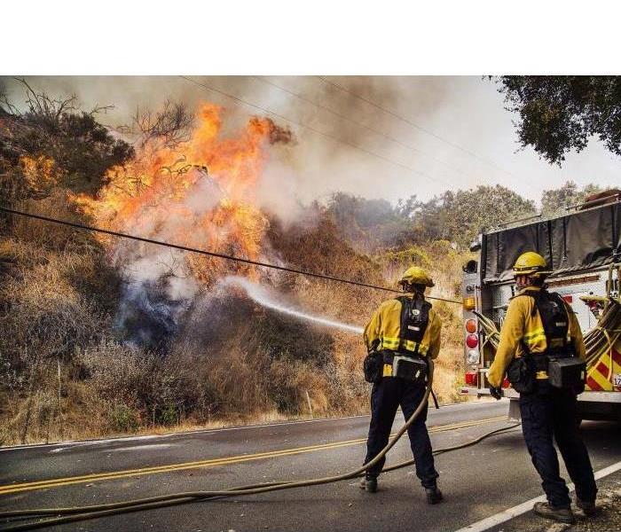 The local San Diego fire department putting out a brush fire.