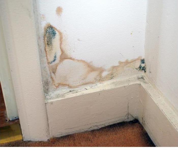 Mold contamination spreads on a neglected window area.