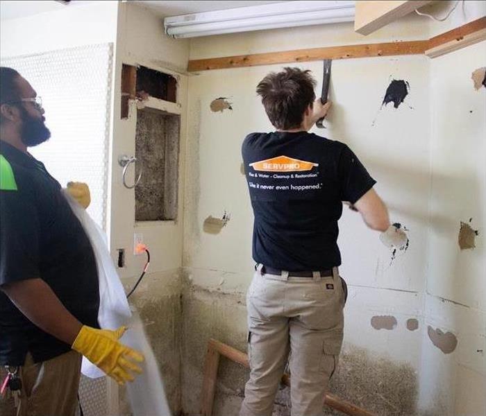 Technician removing wooden frame, walls covered with mold (bathroom area)